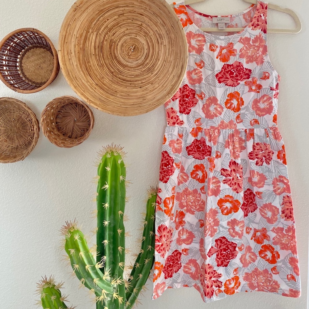 NEW Floral LOFT dress Petite size XXS